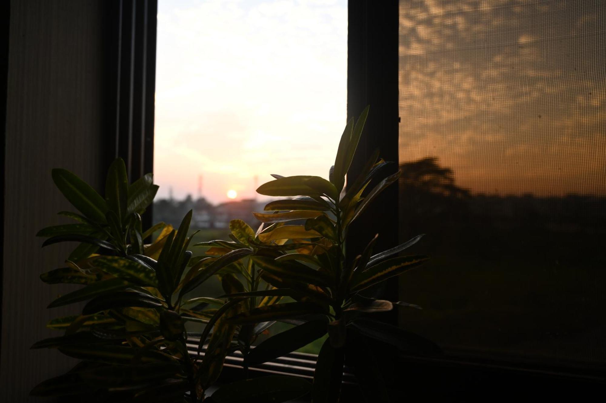 The Cabin By The Bayou Bed & Breakfast Guwahati Dış mekan fotoğraf